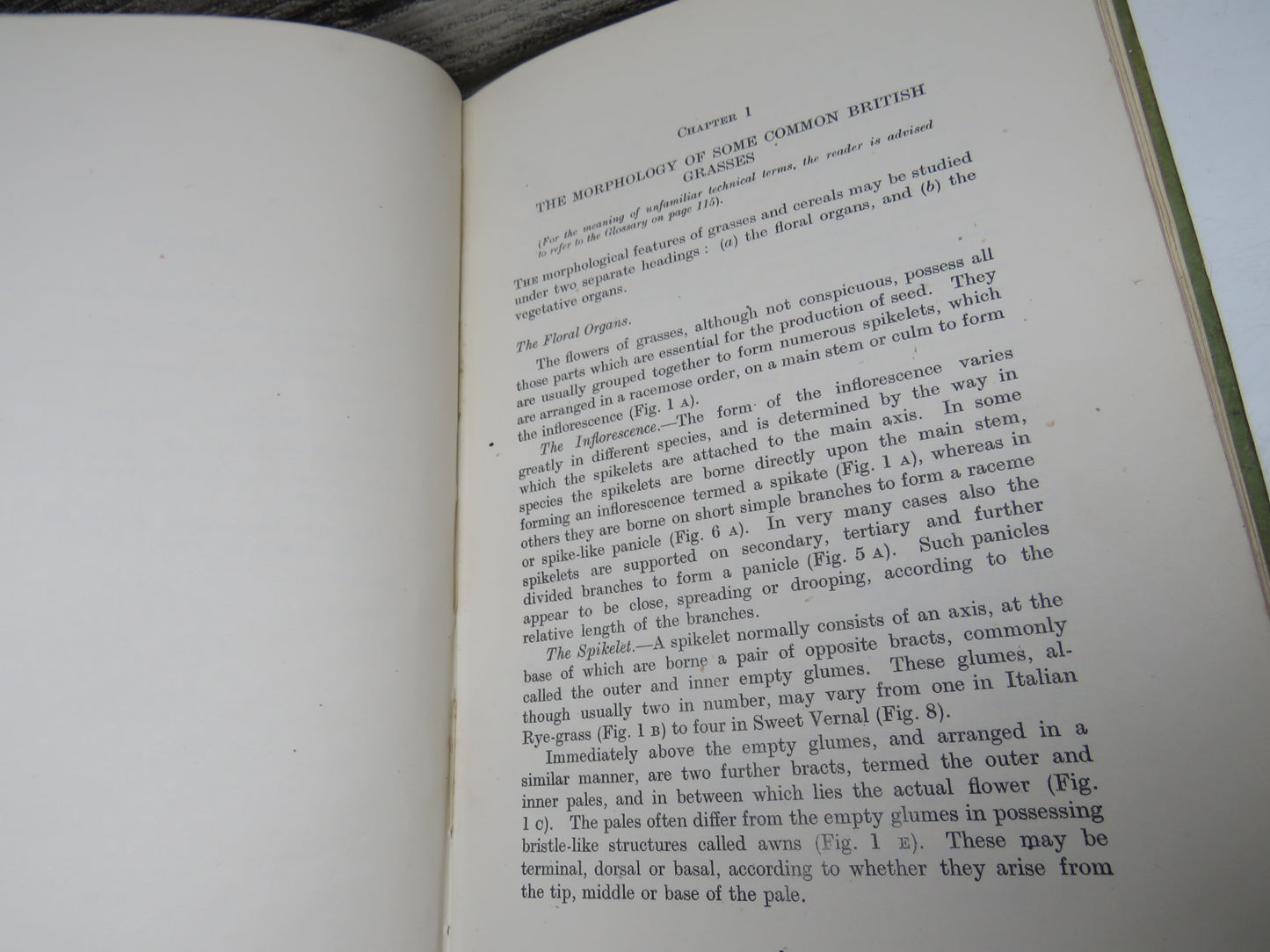 Common British Grasses and Legumes by J. O. Thomas and L. J. Davies, 1946