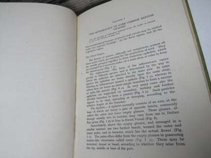 Common British Grasses and Legumes by J. O. Thomas and L. J. Davies, 1946 book image 4