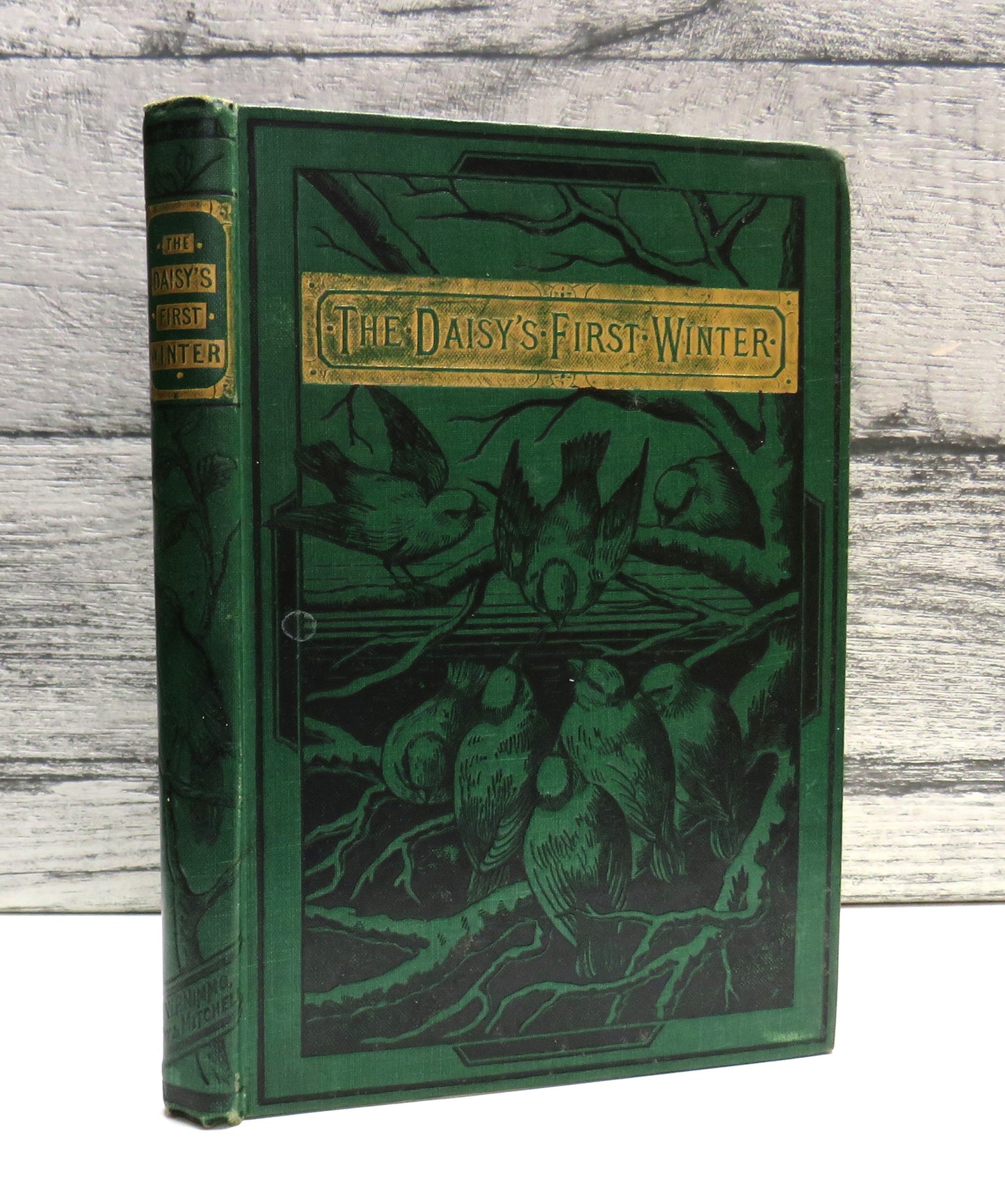 The Daisy's First Winter and Other Stories By Harriet Beecher Stowe 1885