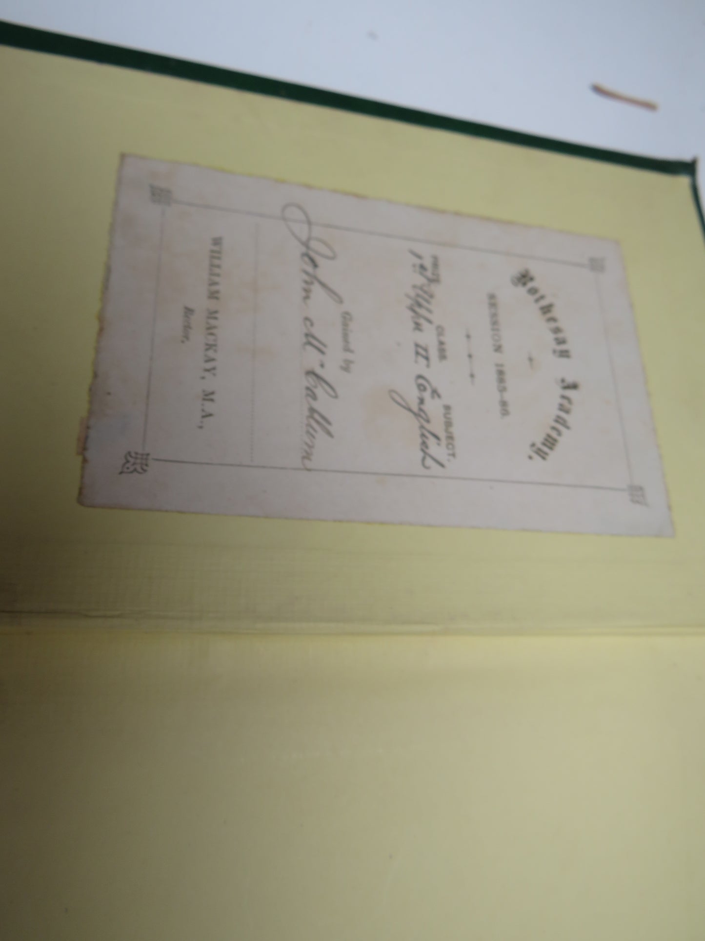The Daisy's First Winter and Other Stories By Harriet Beecher Stowe 1885