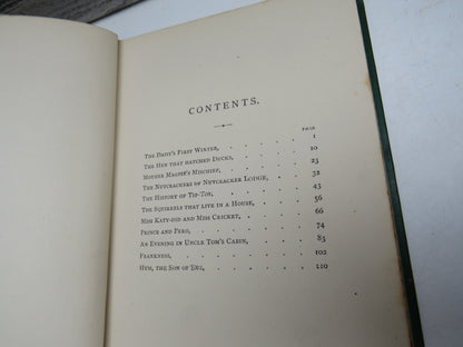 The Daisy's First Winter and Other Stories By Harriet Beecher Stowe 1885
