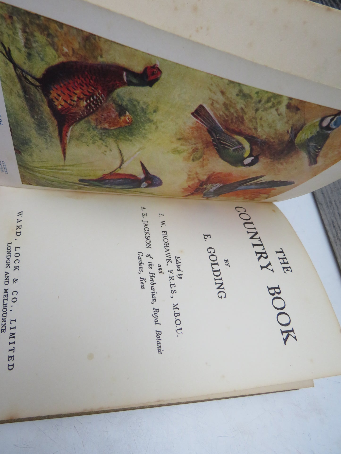 The Country Book By E. Golding