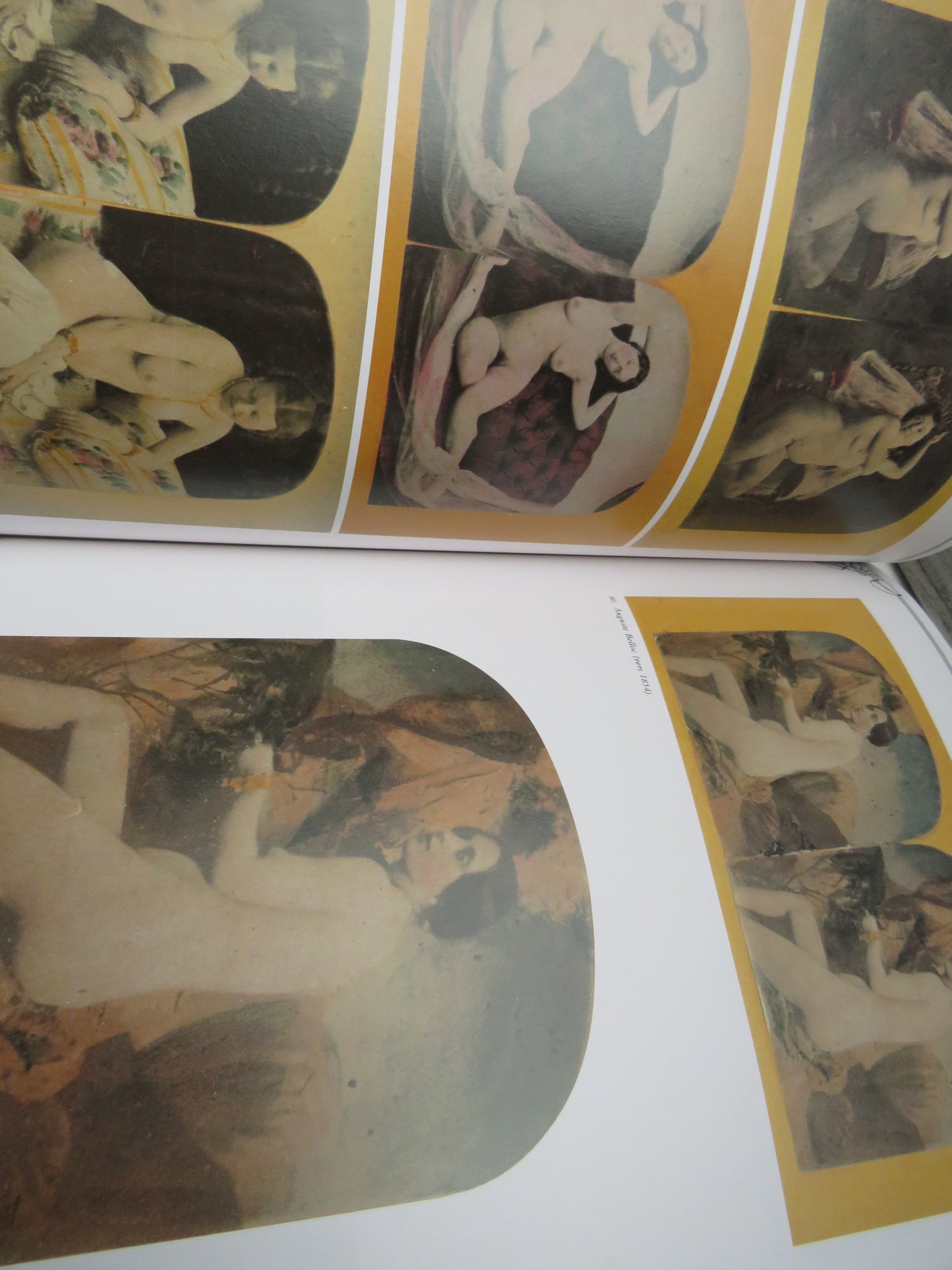 Stereo Akte. Nudes. Nus 1850-1930 by Serge Nazarieff, 1993