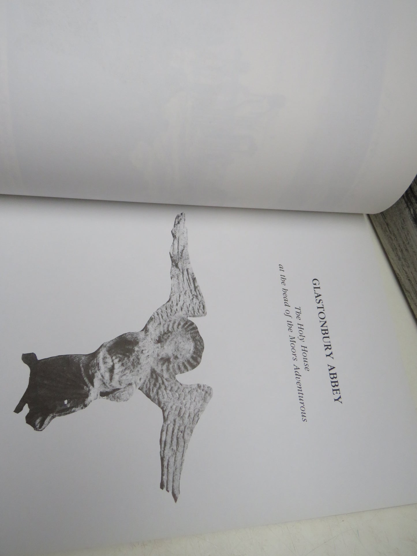 Glastonbury Abbey The Holy House At The Head of the Moors Adventurous By James P. Carley 1996