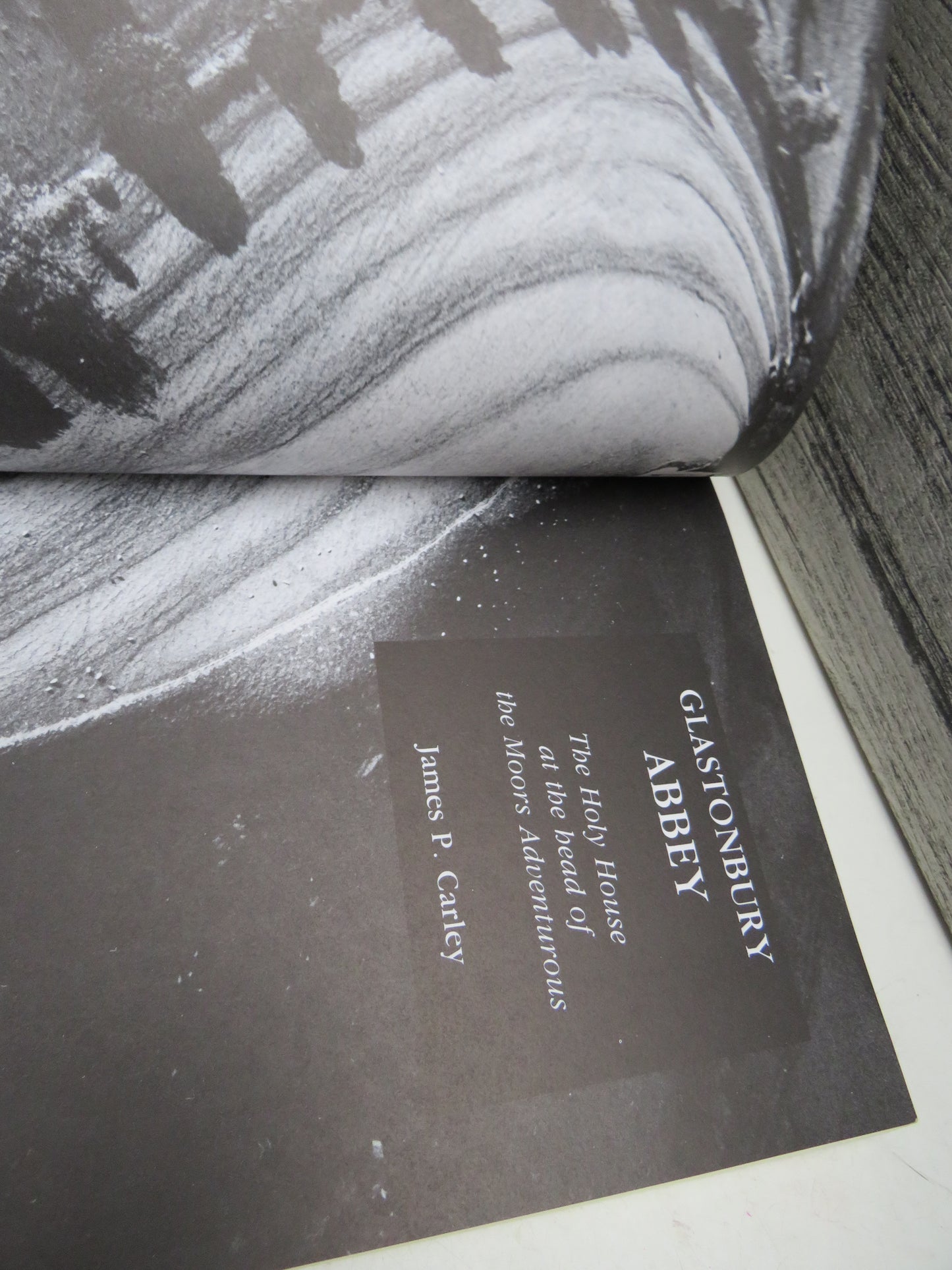 Glastonbury Abbey The Holy House At The Head of the Moors Adventurous By James P. Carley 1996