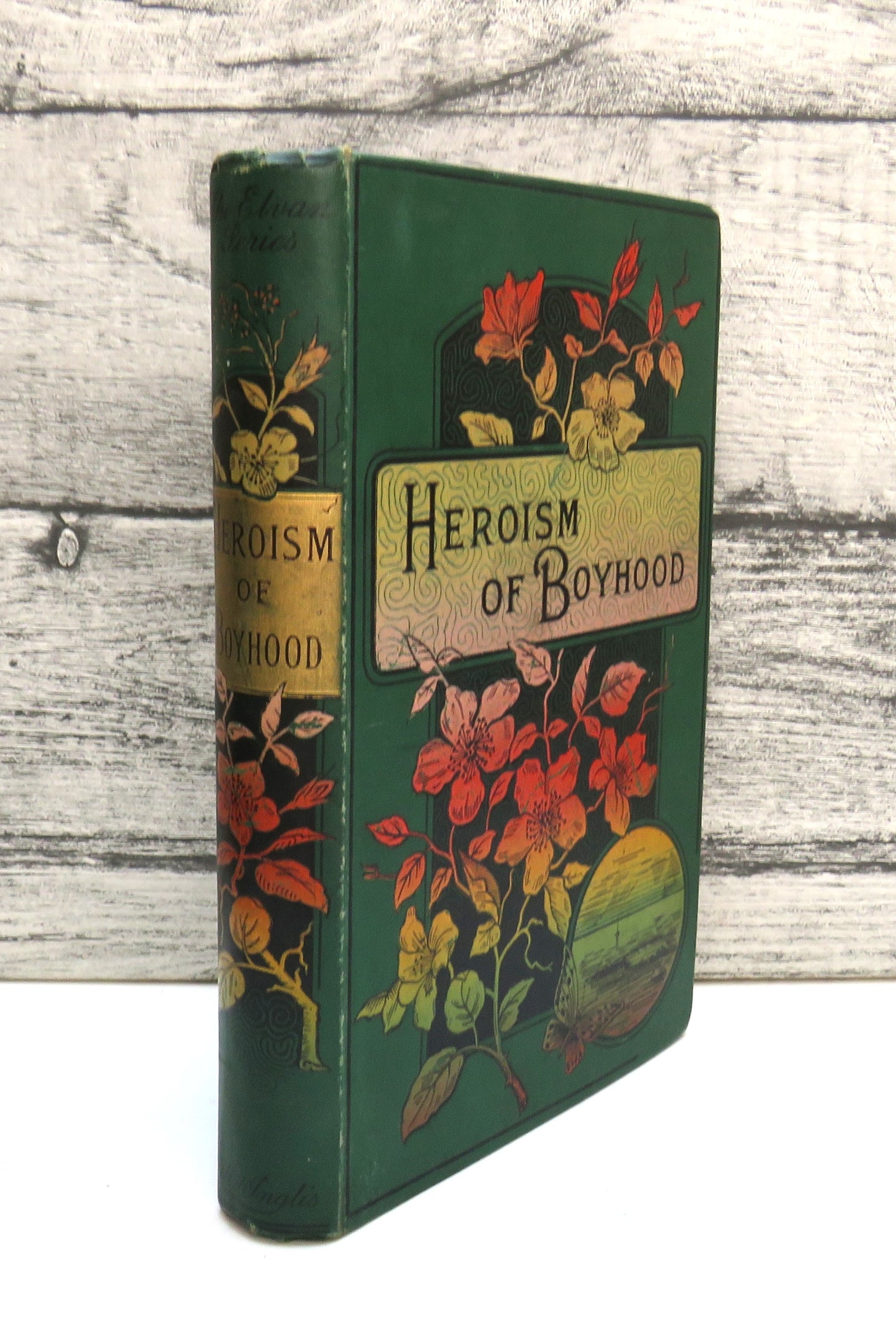 Heroism of Boyhood Or What Boys Have Done By William Martin
