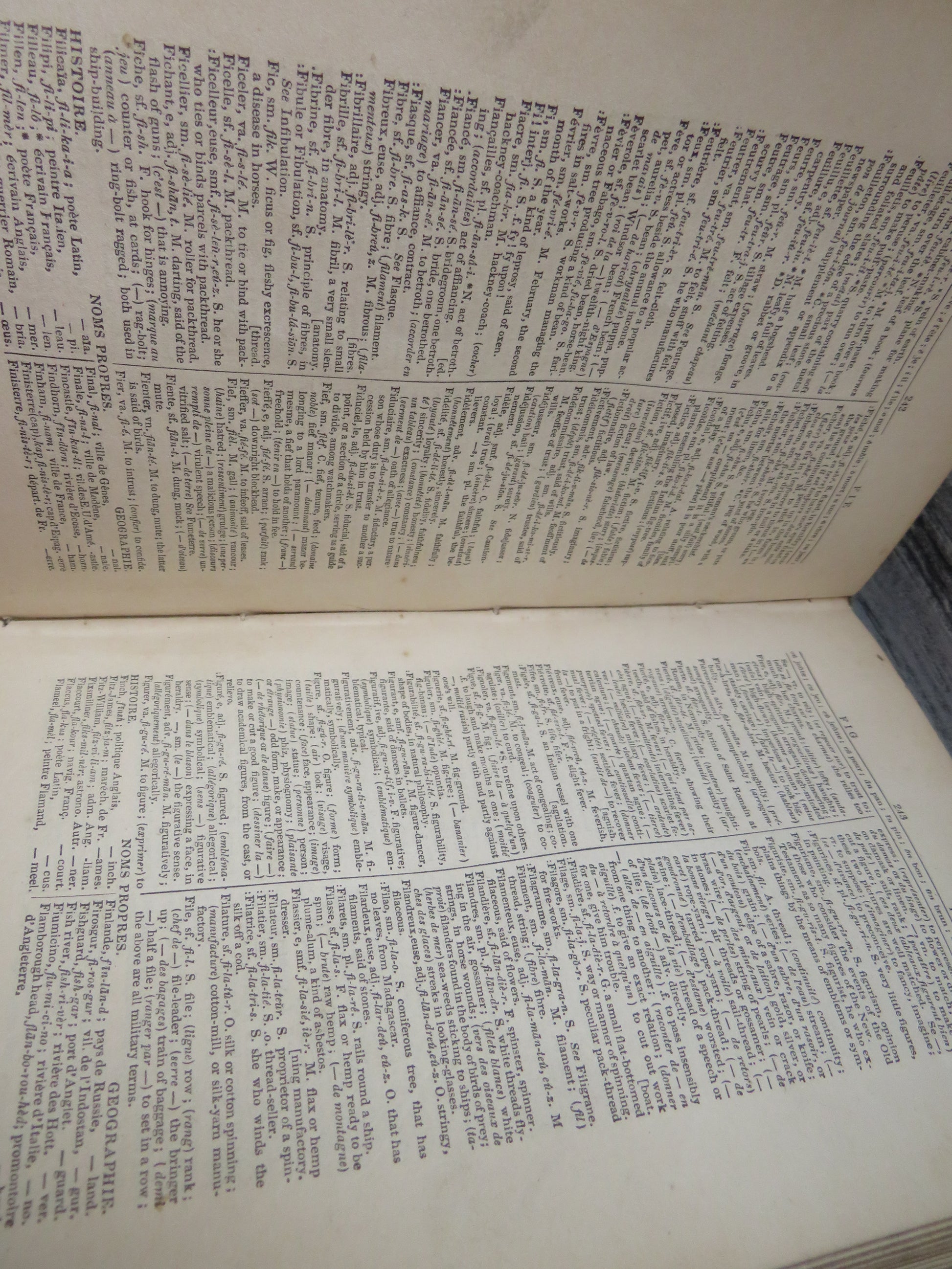 The Standard Pronouncing Dictionary of the French and English Languages 1852 (Antique Language Reference) book 5