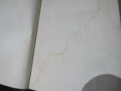 Collection of 17 19thC Books By Charles Dickens Inc David Copperfield, Oliver Twist book image 9