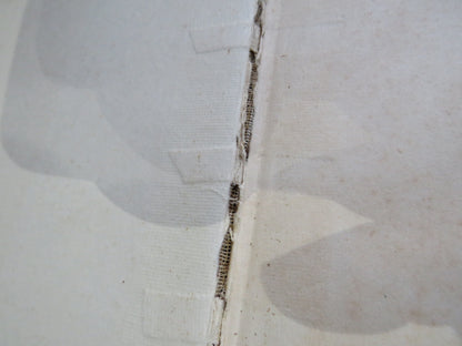 A Hausa-English Dictionary and English-Hausa Vocabulary Compiled For The Government of Nigeria By Th book image 3