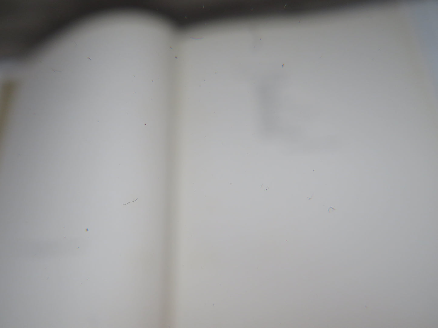 Dog Days With Drawings In Colour and Black and White By K.F. Barker 1938 (Vintage Art Book) book 4