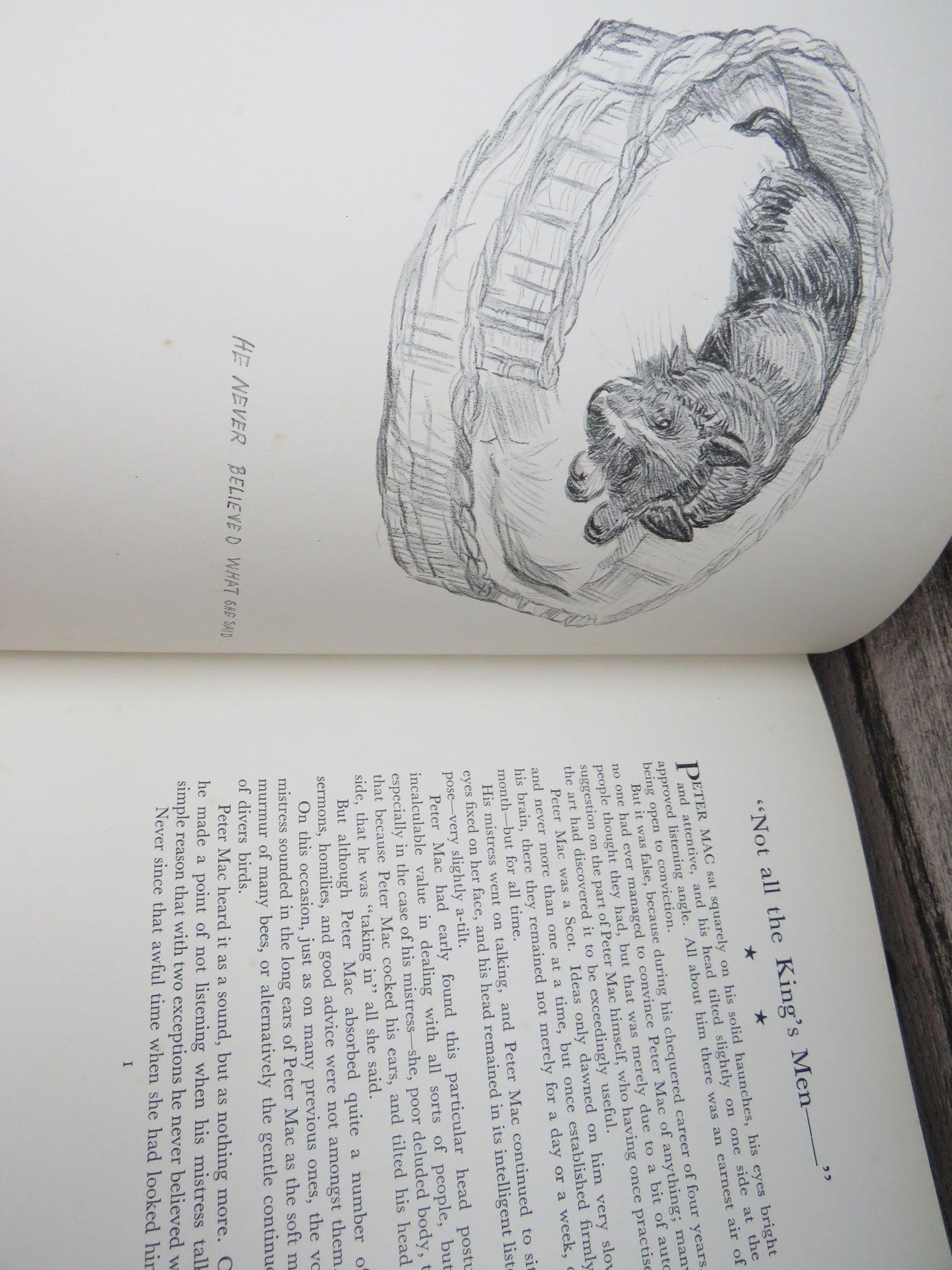 Dog Days With Drawings In Colour and Black and White By K.F. Barker 1938 (Vintage Art Book) book 7