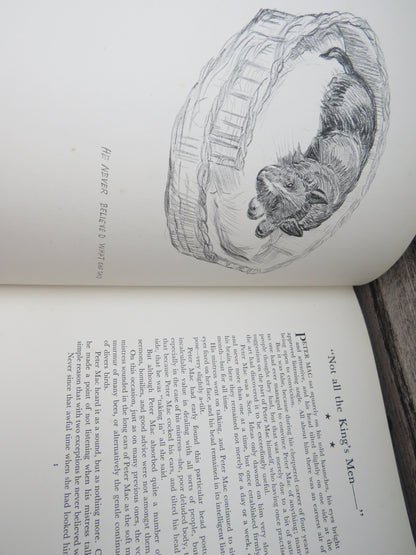 Dog Days With Drawings In Colour and Black and White By K.F. Barker 1938 (Vintage Art Book) book image 7