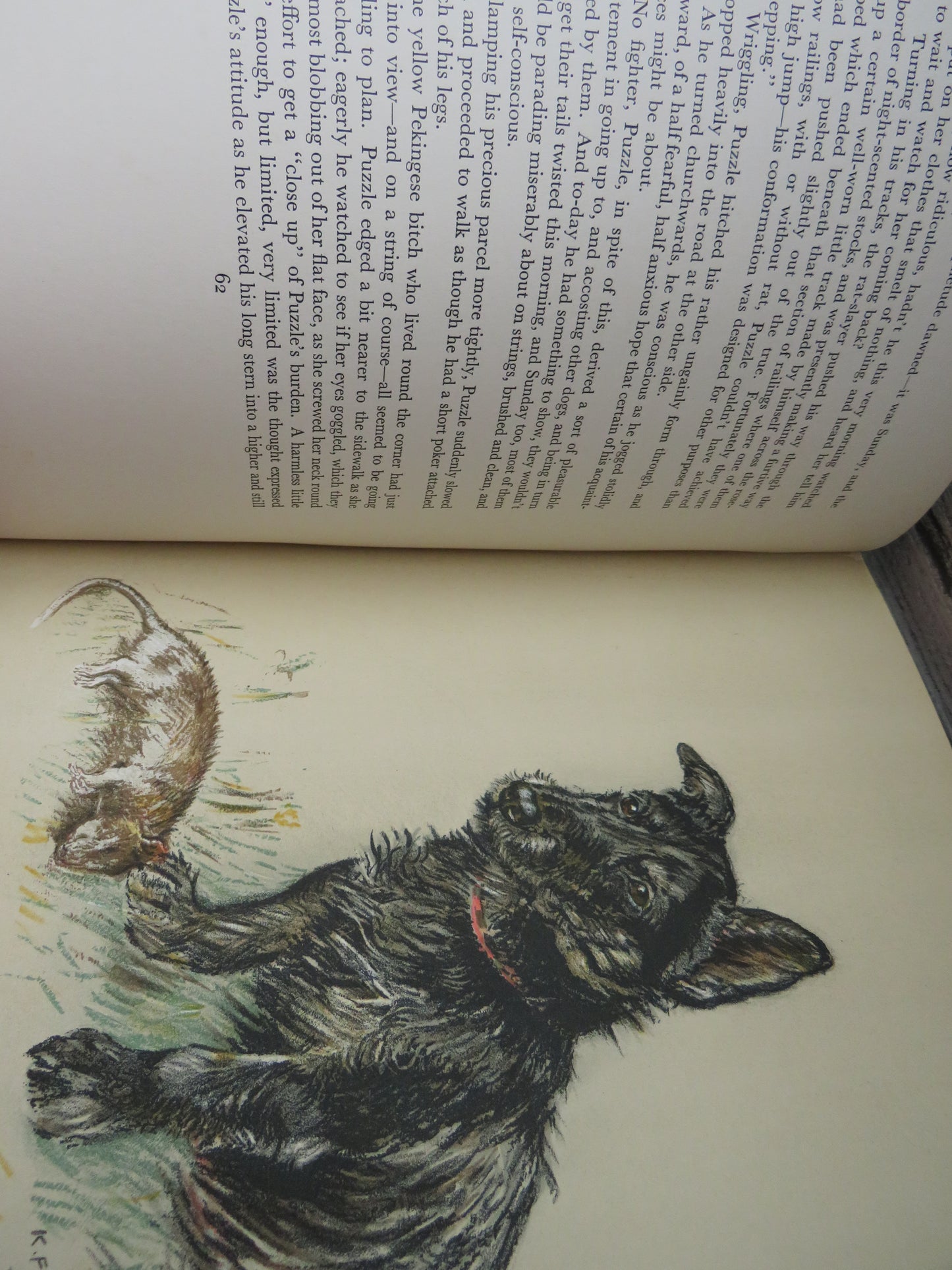 Dog Days With Drawings In Colour and Black and White By K.F. Barker 1938 (Vintage Art Book) book 9