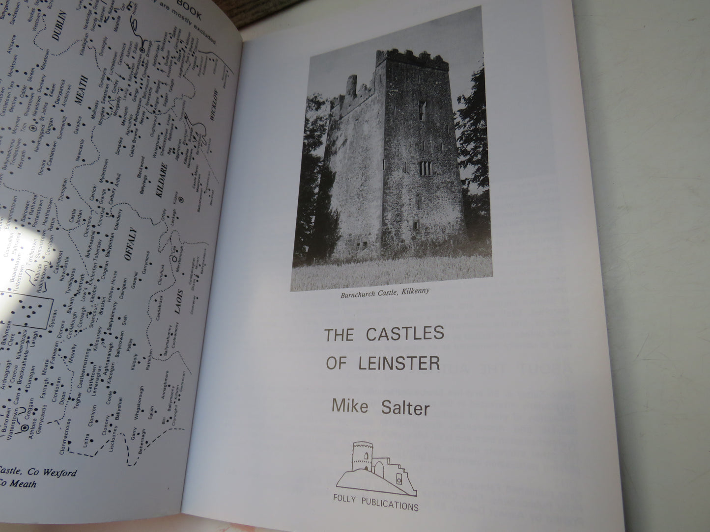 The Castles of Leinster By Mike Salter 2004