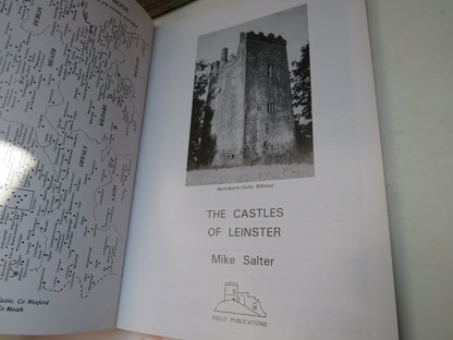 The Castles of Leinster By Mike Salter 2004