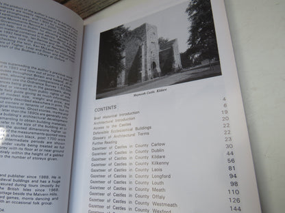 The Castles of Leinster By Mike Salter 2004