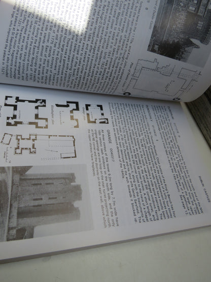 The Castles of Leinster By Mike Salter 2004