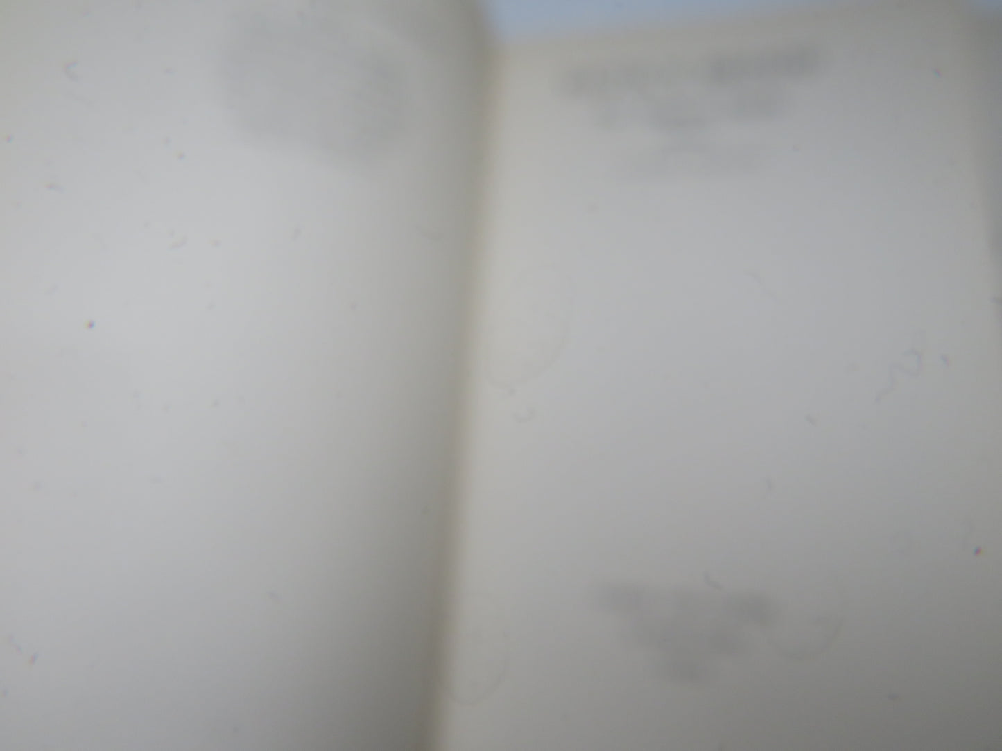 Devil's Brood The Angevin Family By Alfred Duggan 1957 2nd Impression