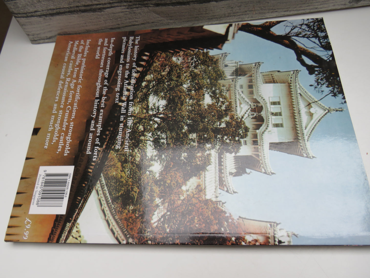 A Chronicle History of Forts and Fortresses By Martin Brice 2005