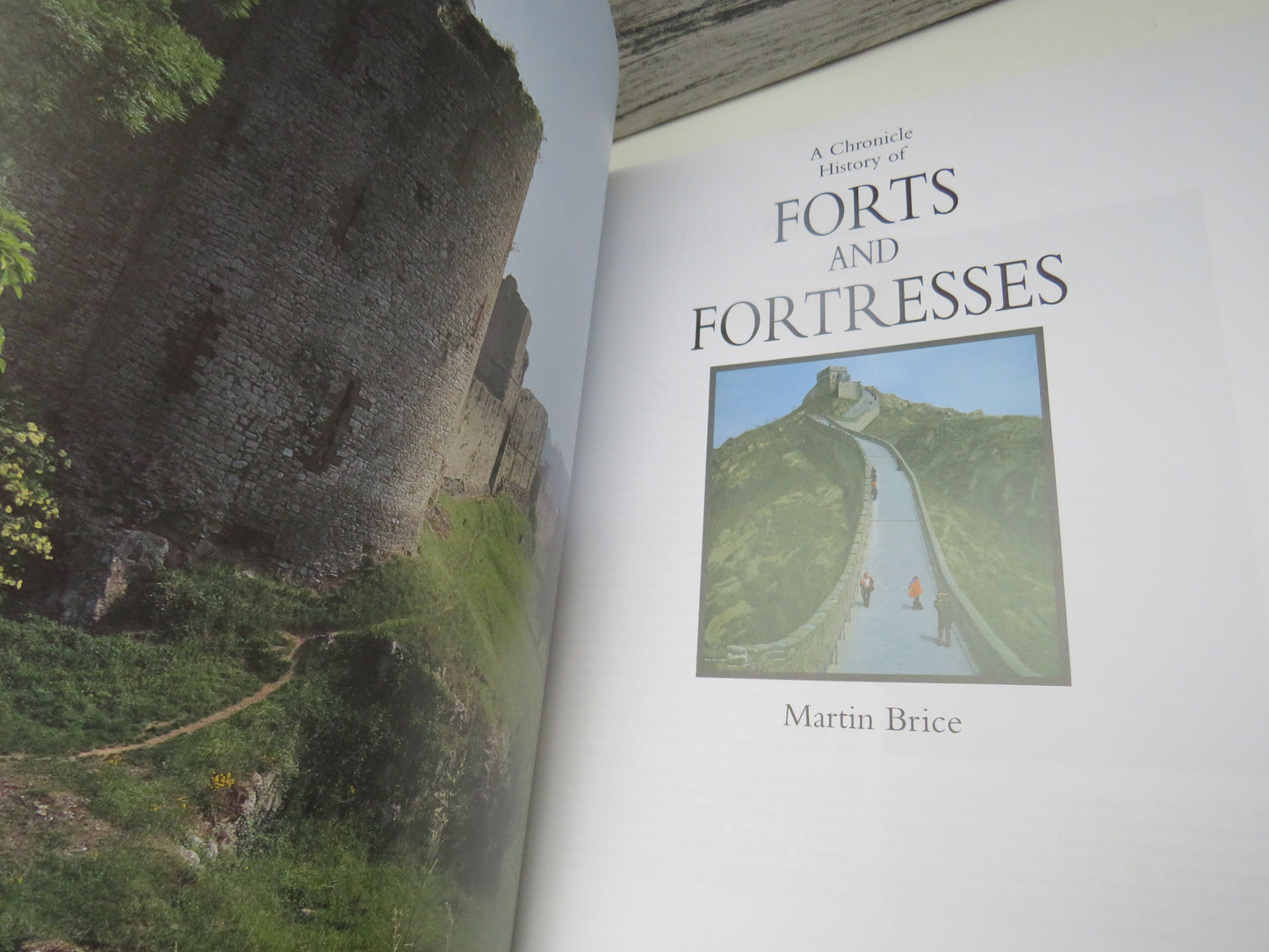 A Chronicle History of Forts and Fortresses By Martin Brice 2005