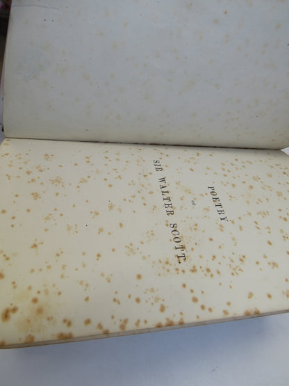 The Poetical Works of Sir Walter Scott 1871