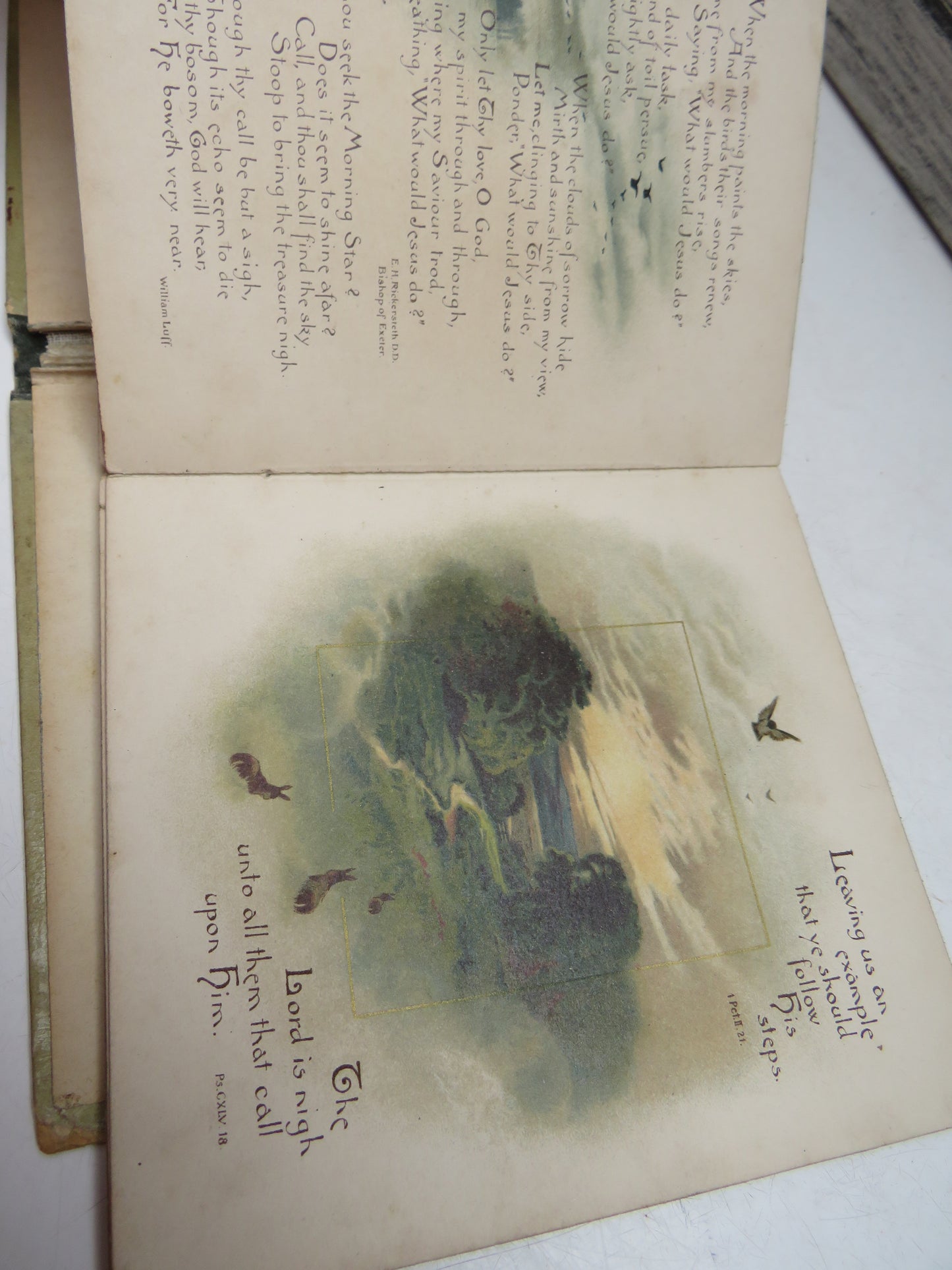 Neath Sun and Star A Scripture Text Book With Poetical Extracts For Each Day In The Month