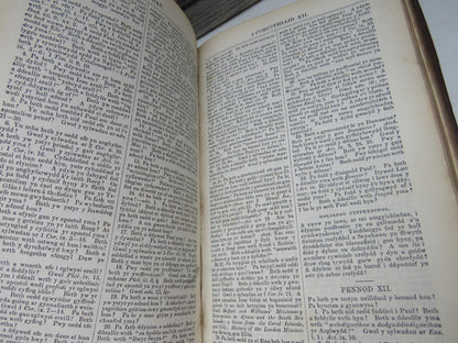 Y Testament Newydd, Gyda Eglurhaol AC Ymarferol Gan Y Parch Albert Barnes 1857 (Antique Religious Bo book image 5