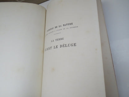 La Terre Avant Le Deluge Par Louis Figuier, 1874 book image 4