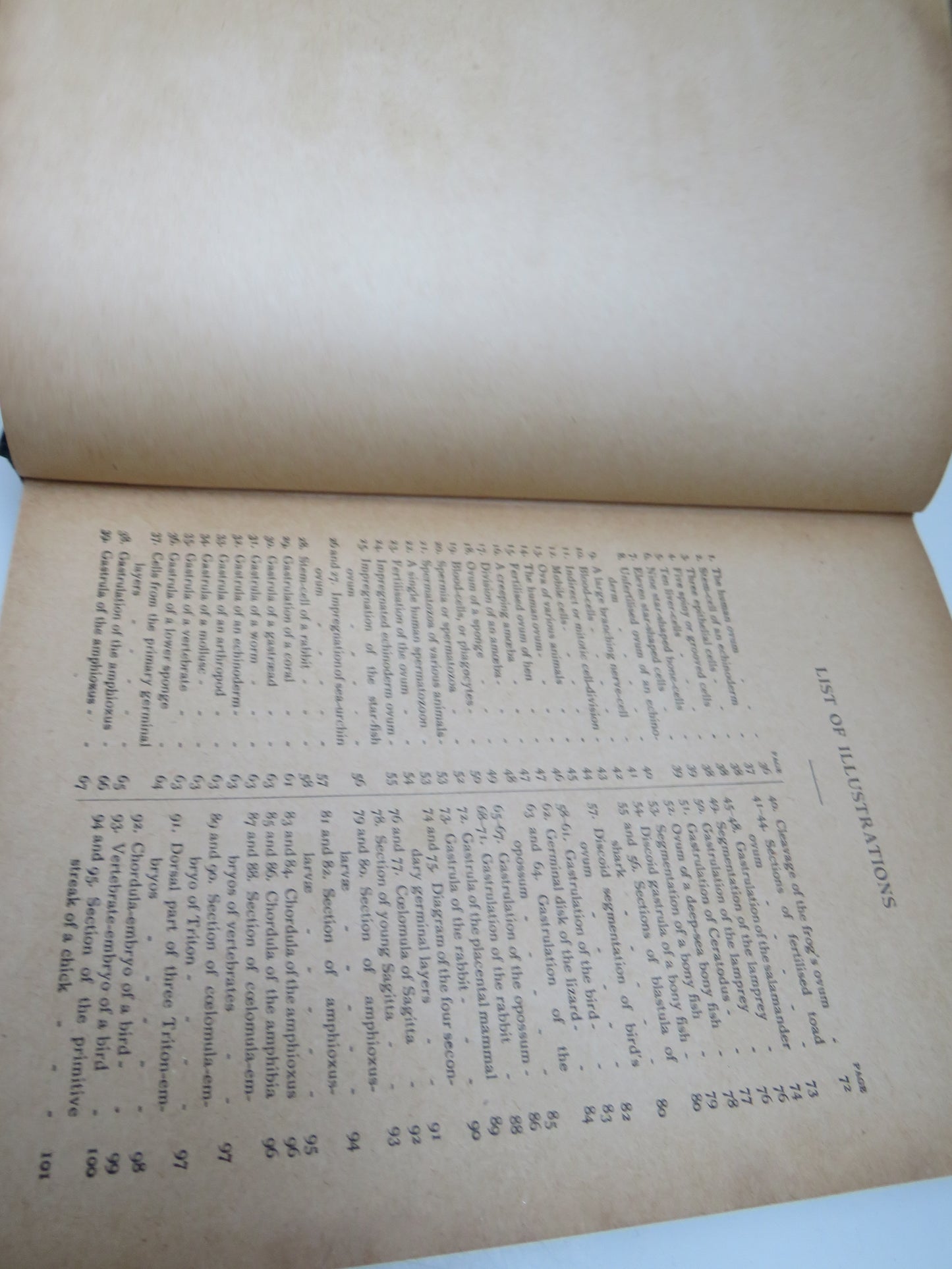 The Evolution of Man A Popular Scientific Study By Ernst Haeckel Vol I 1918
