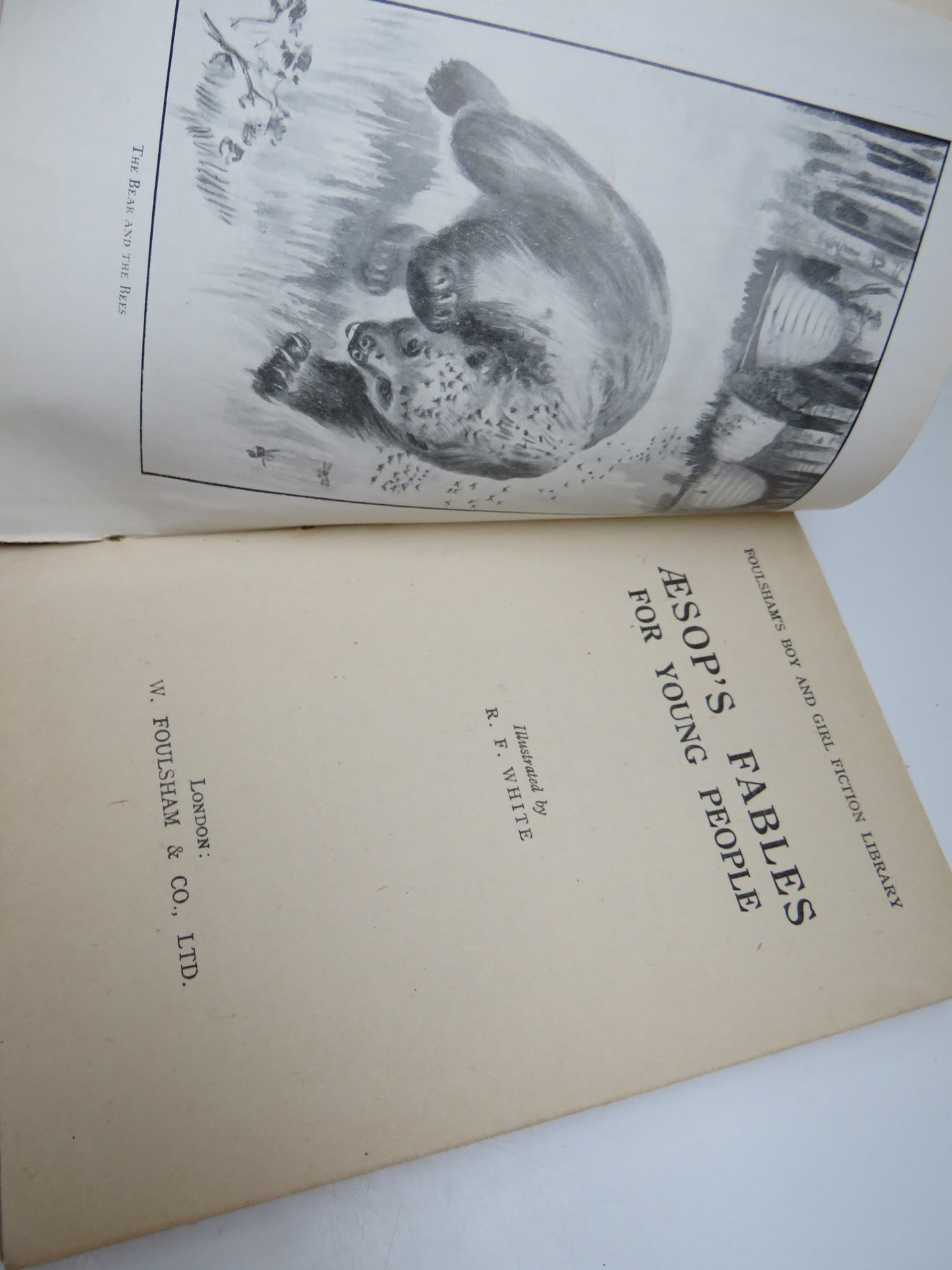 Aesop's Fables For Young People Illustrated by R.F. White