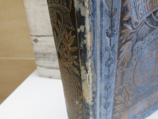 Poems & Songs By Robert Burns 1888 The "Edina"