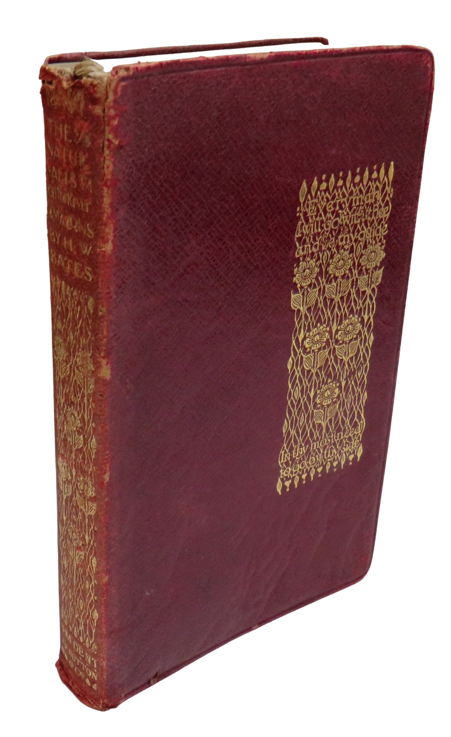 The Naturalist On The River Amazons By Henry Walter Bates