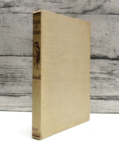 Birds of Britain A Guide To The Common Species By J.D. MacDonald 1949