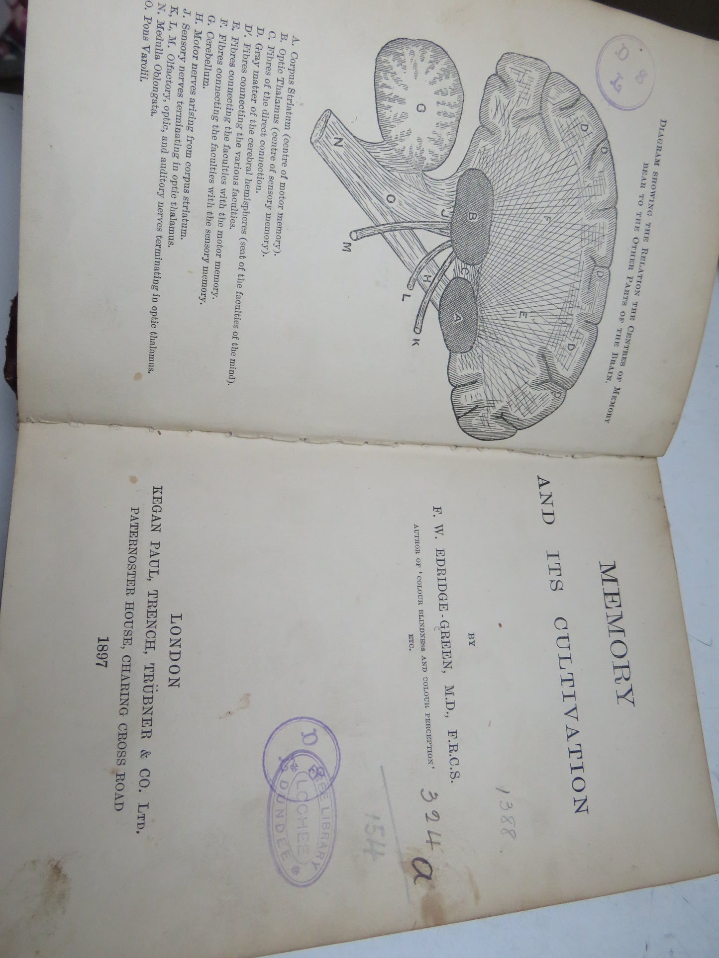 Memory and Its Cultivation By F. W. Edridge-Green 1897