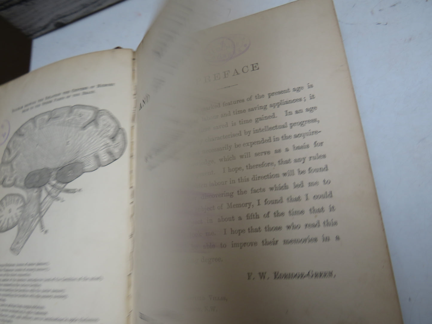 Memory and Its Cultivation By F. W. Edridge-Green 1897