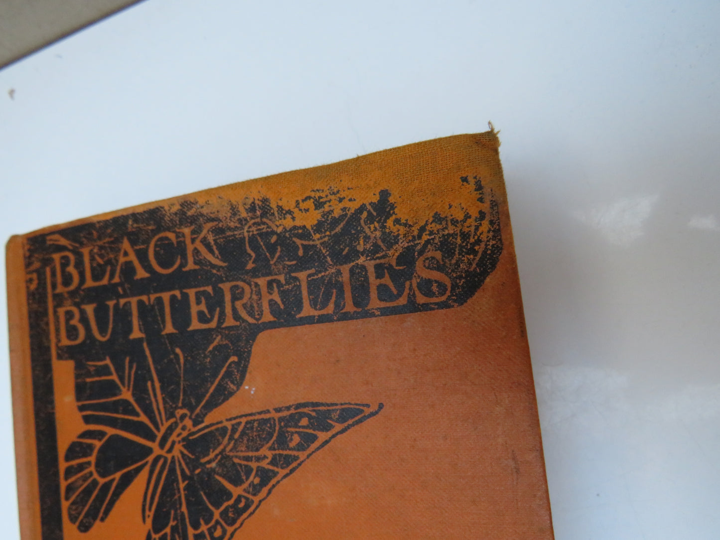 Black Butterflies A Story of Youth By Elizabeth Jordan 1927