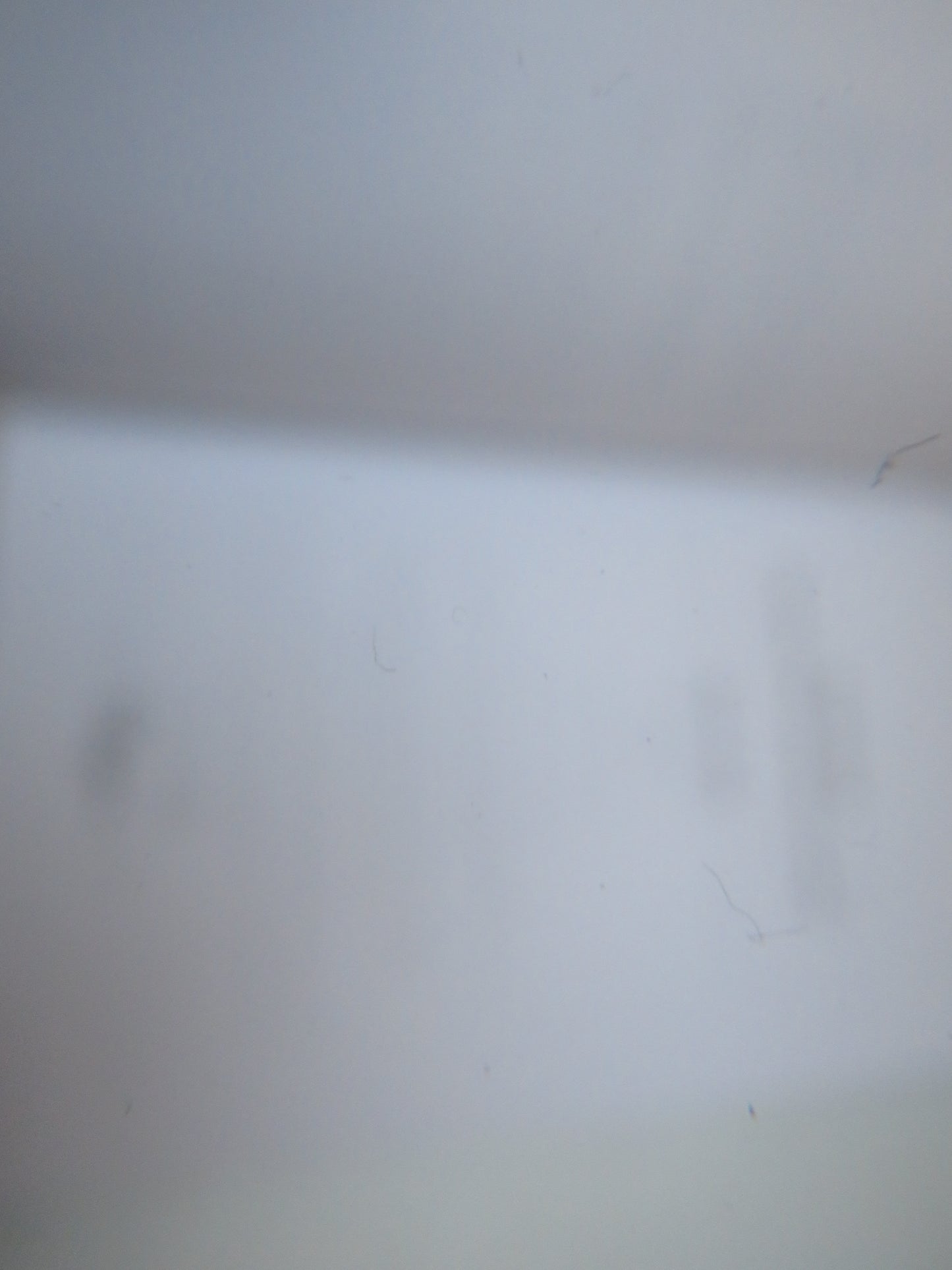 Scott-Land The Man Who Invented A Nation By Stuart Kelly 2010