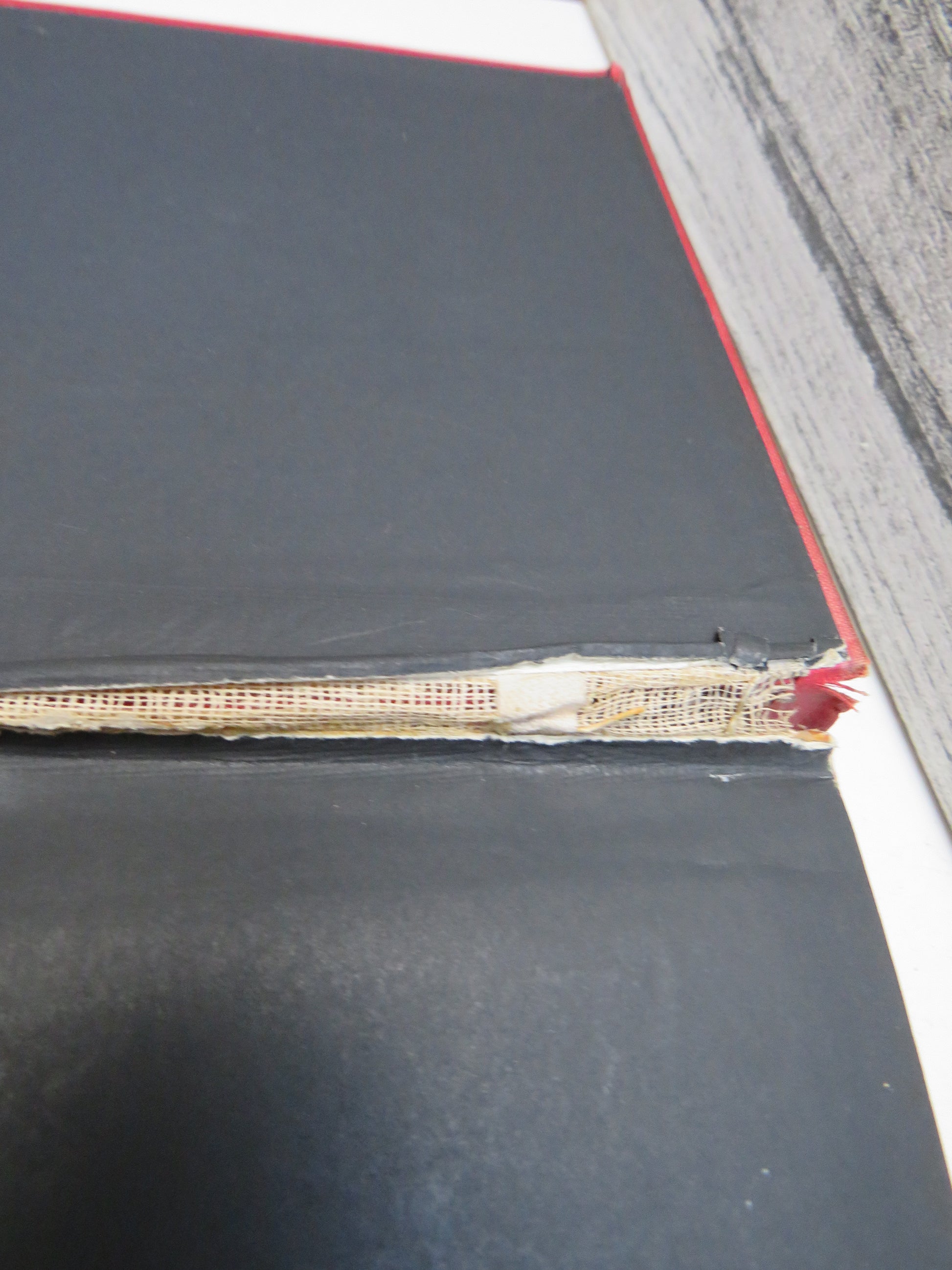 Across The Border or Pathan and Biloch by Edward E. Oliver, 1890, rare book (Antique Travel Book) book 3