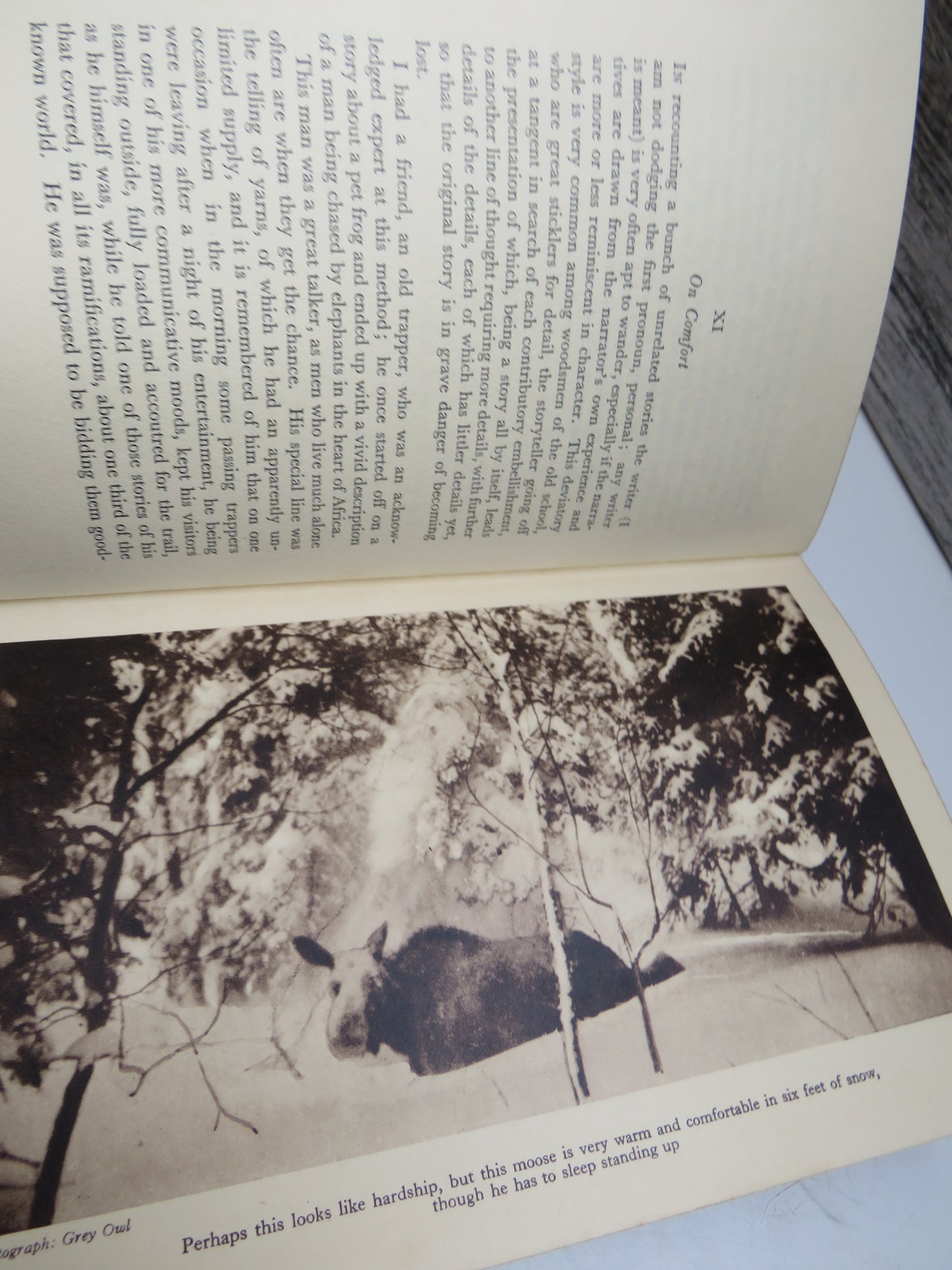 Tales of an Empty Cabin by Wa-Sha-Quon-Asin (Grey Owl), 1936