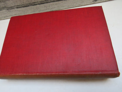 Trial of Mrs. Maybrick edited by H.B. Irving 1912, First Edition (Antique True Crime Book) book image 2