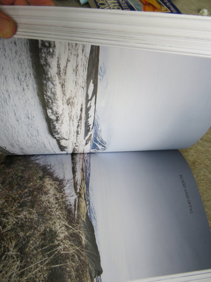 The Nordic Cook Book By Magnus Nilsson 2015 book image 7