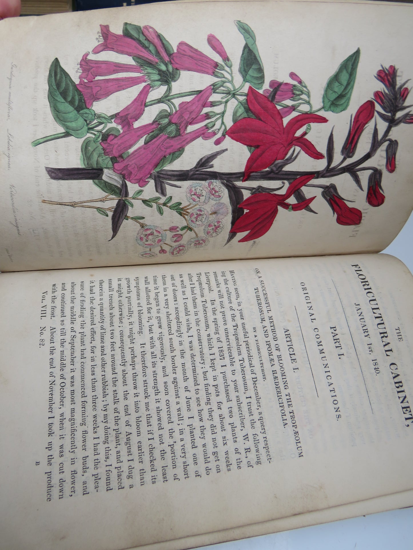 The Floricultural Cabinet and Florist's Magazine Conducted By Joseph Harrison 1840