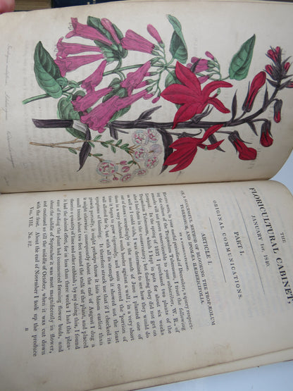The Floricultural Cabinet and Florist's Magazine Conducted By Joseph Harrison 1840 book image 9