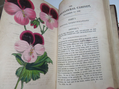 The Floricultural Cabinet and Florist's Magazine Conducted By Joseph Harrison 1840 book image 10