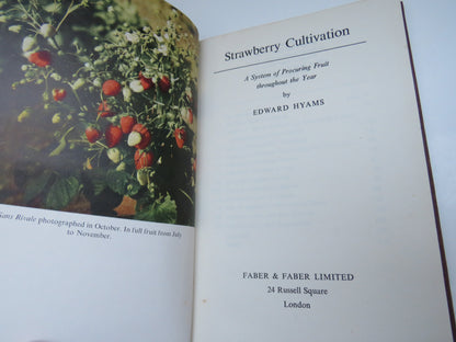 Strawberry Cultivation, A System of Procuring Fruit Throughout the Year by Edward Hyams book image 4