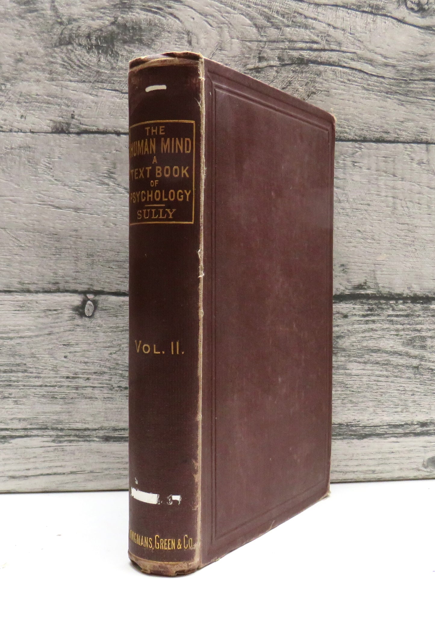The Human Mind A Text-Book of Psychology By James Sully 1892 Volume II