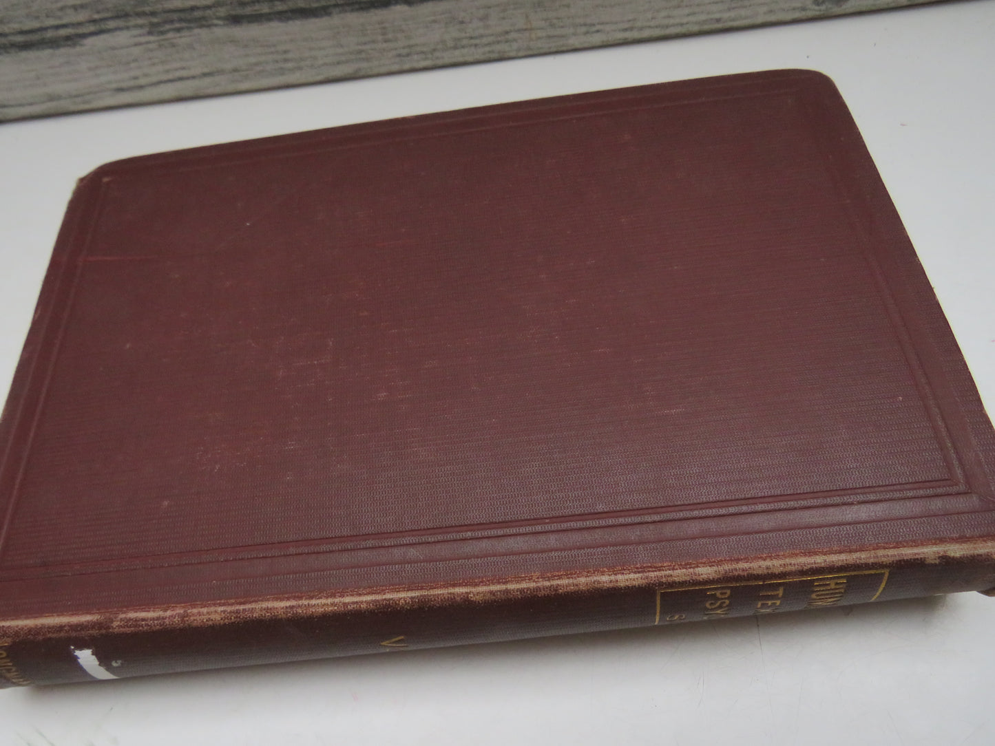 The Human Mind A Text-Book of Psychology By James Sully 1892 Volume II