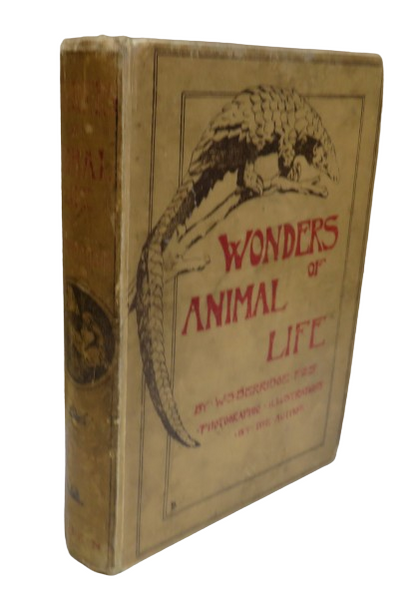 Wonders of Animal Life by W. S. Berridge, 1919 book front cover