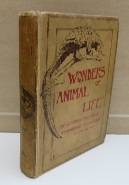 Wonders of Animal Life by W. S. Berridge, 1919 book image 2