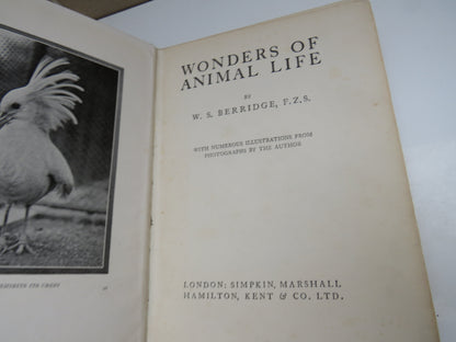 Wonders of Animal Life by W. S. Berridge, 1919 book image 5